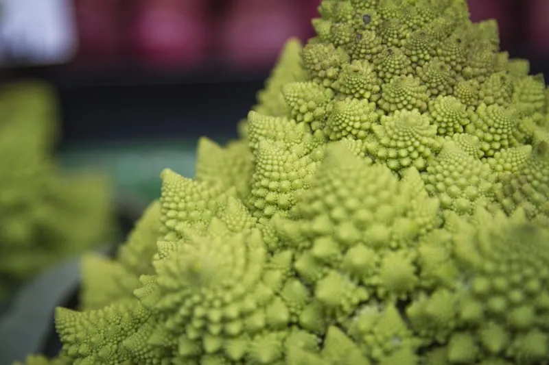 Close-up of romanesco broccoli, a food that contains chromium